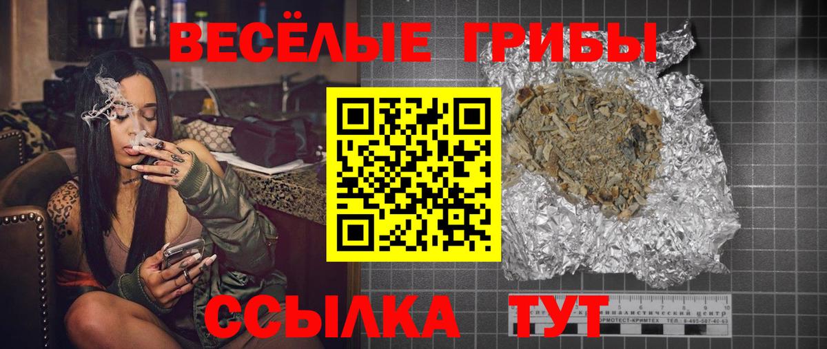 Псилоцибиновые грибы GOLDEN TEACHER Новосибирск