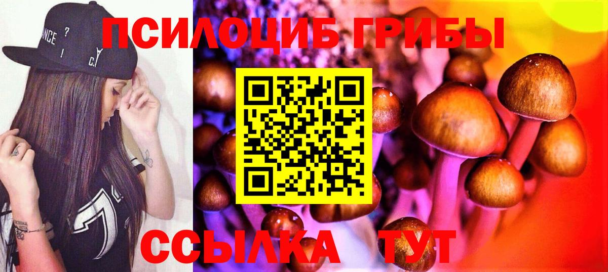 купить наркотик  Псилоцибиновые грибы Psilocybe  Вход с VPN  Новосибирск 